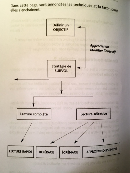 Le Guide de la Lecture Rapide & Efficace, de Charline Licette